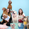 Proprietari di animali e i loro cani mostrano i libri personalizzati “Baldo, un amico per sempre” e “Freccia, la migliore amica a quattro zampe” — un ricordo personalizzato perfetto per amanti degli animali.